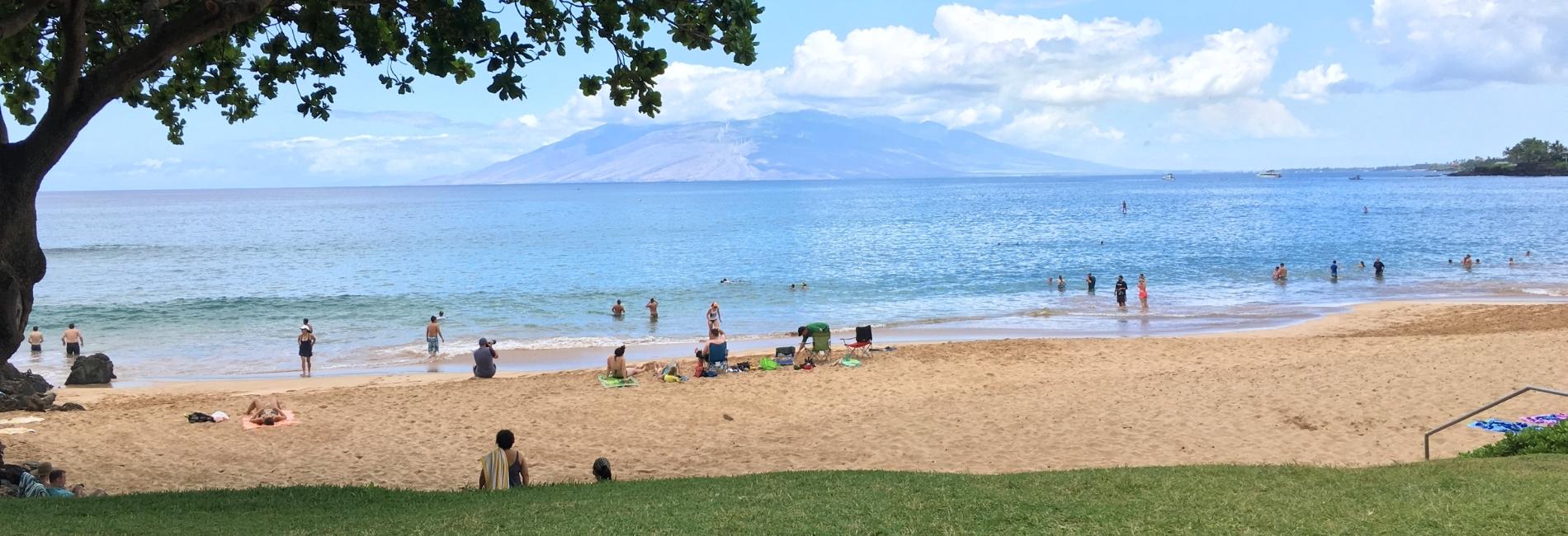 Maui Visitors Guide