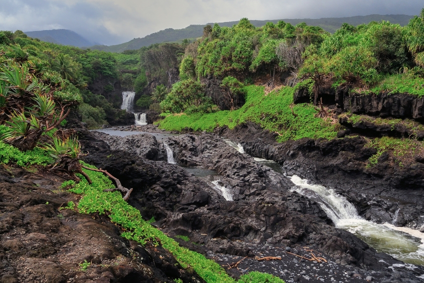 Maui Visitors Guide
