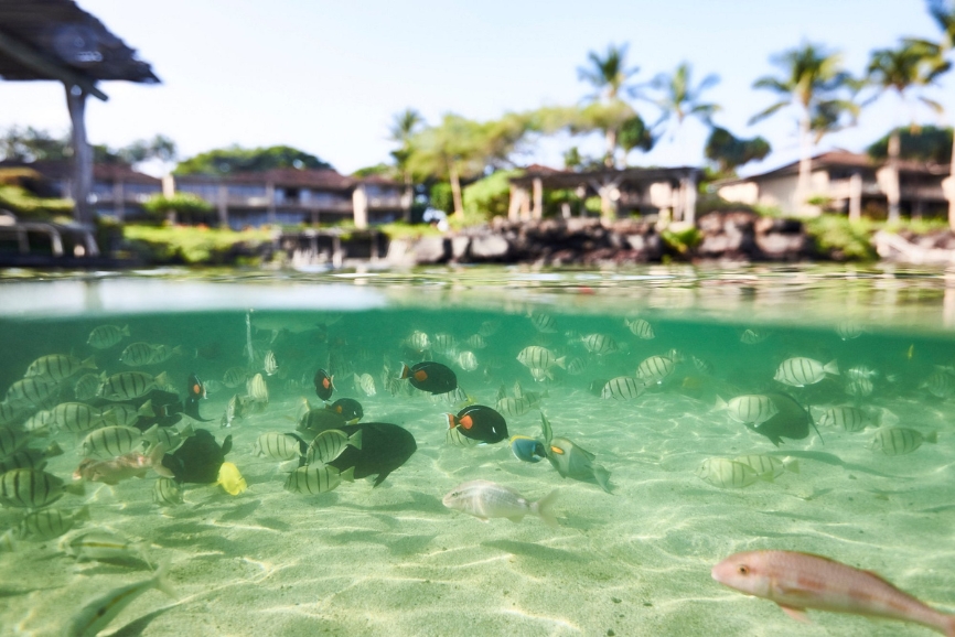 Best Hawaii All Inclusive Resorts