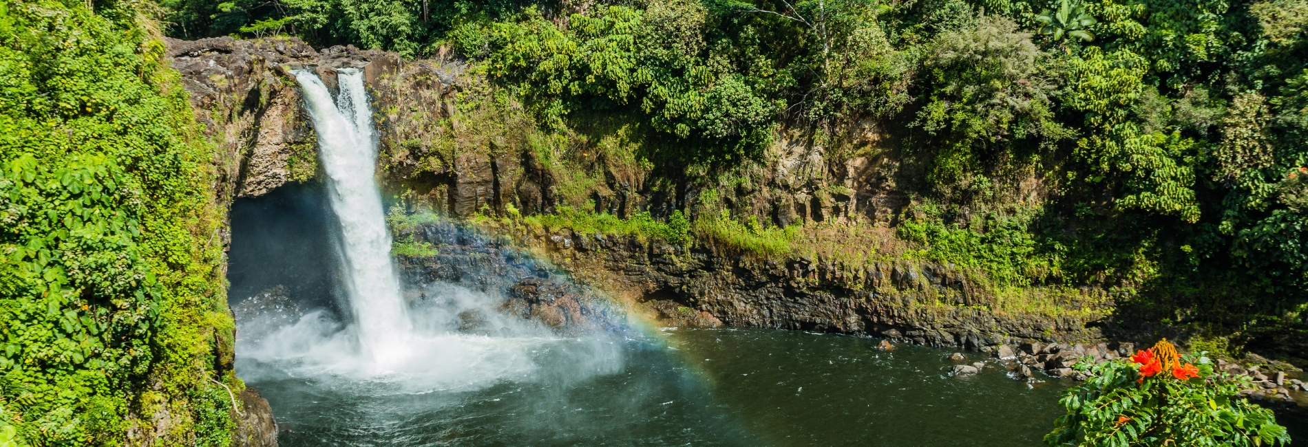 Island Of Hawaii Visitors Guide