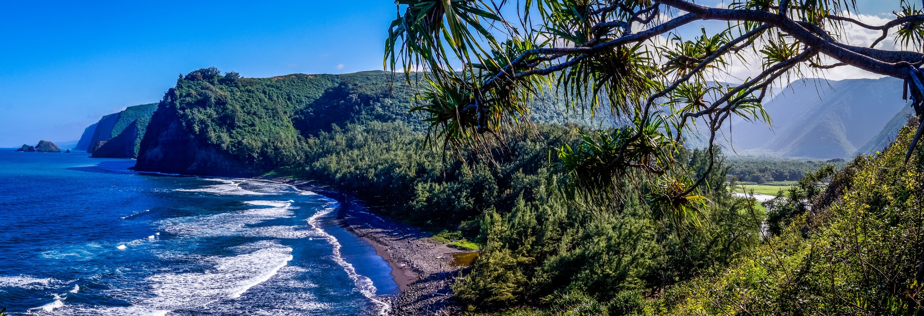 Island Of Hawaii Visitors Guide