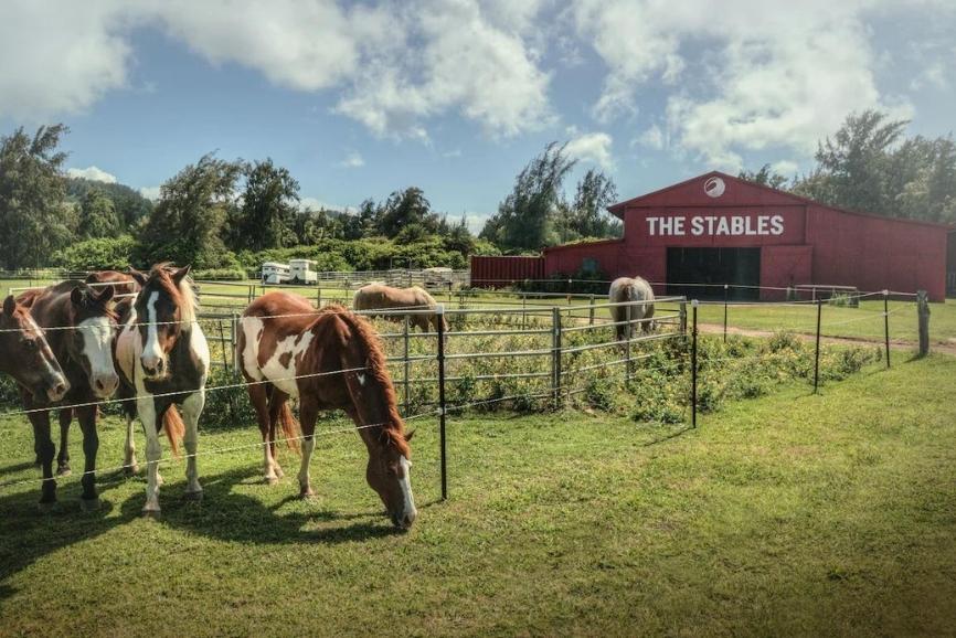 Best Hawaii All Inclusive Resorts