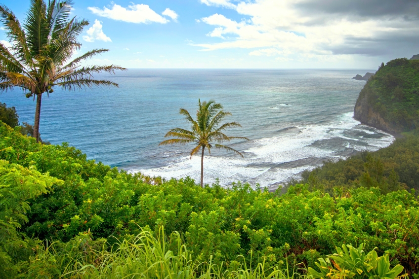 Scenic coastal view on the Big Island of Hawaii with lush green cliffs, palm trees, deep blue Pacific Ocean, and white waves along the dramatic shoreline