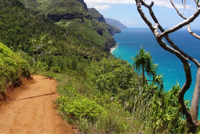 Kauai Visitors Guide