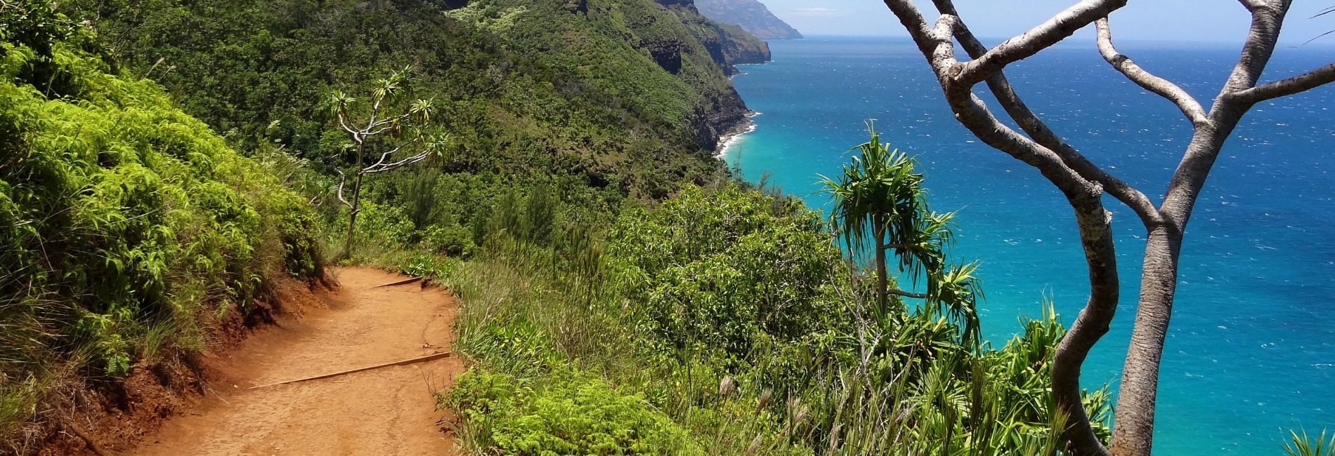 Kauai Visitors Guide