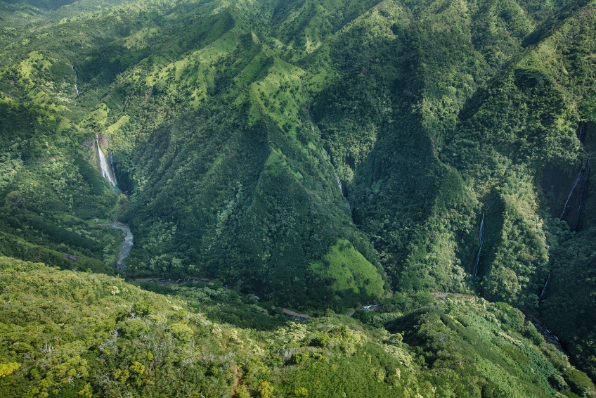 Kauai Visitors Guide