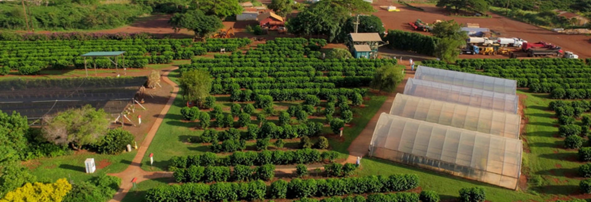 Kauai Visitors Guide