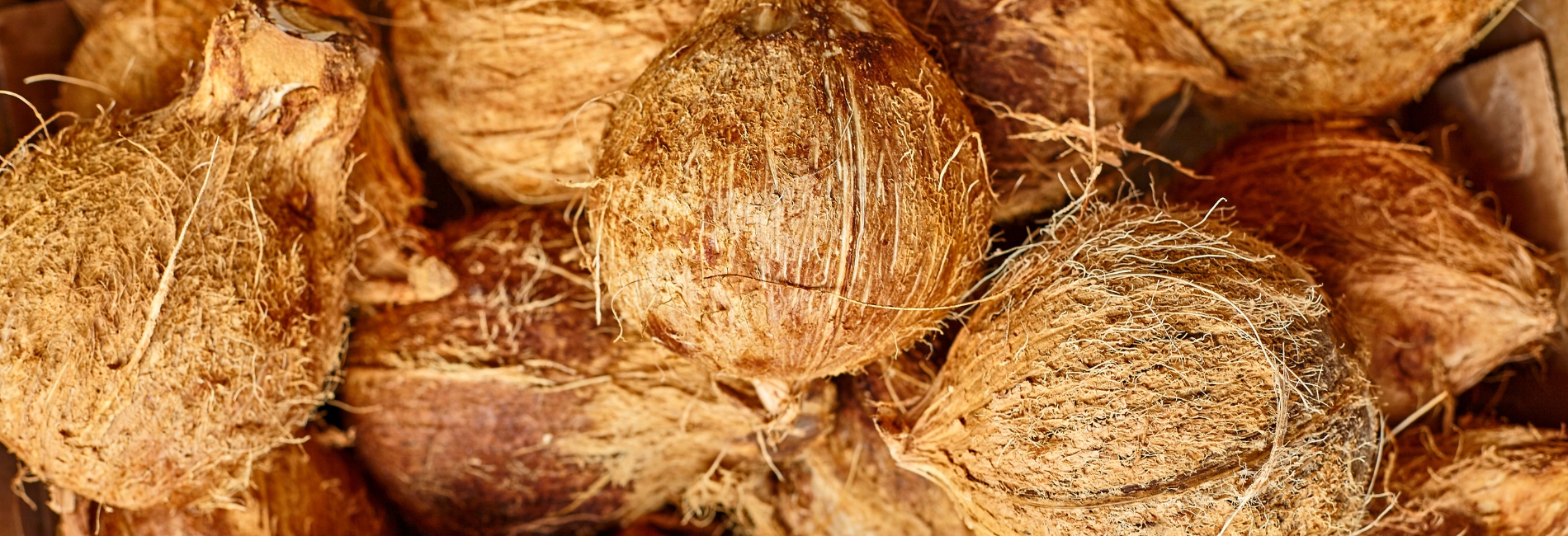 Molokai Visitors Guide