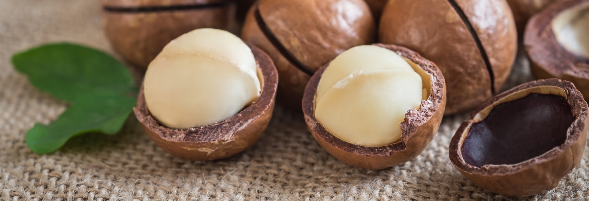 Molokai Visitors Guide