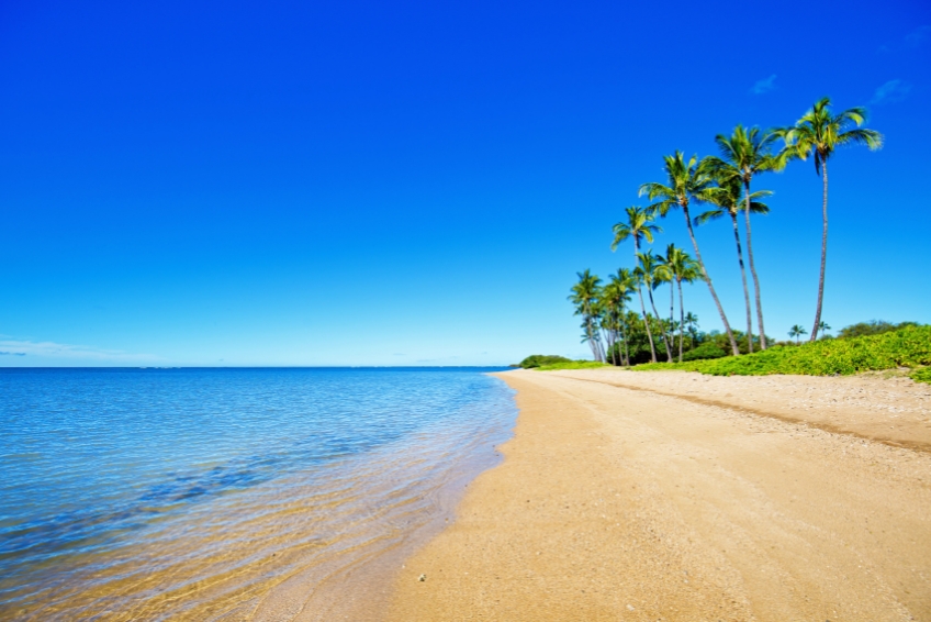 Beautiful beach in Molokai, Hawaii with tall palm trees, golden sand, turquoise ocean water, and vibrant blue sky