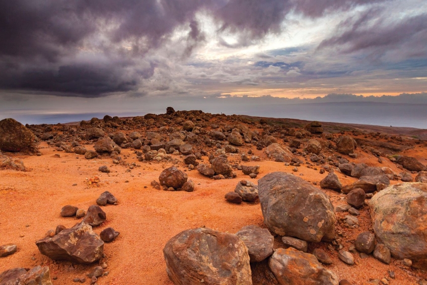 Lanai Visitors Guide