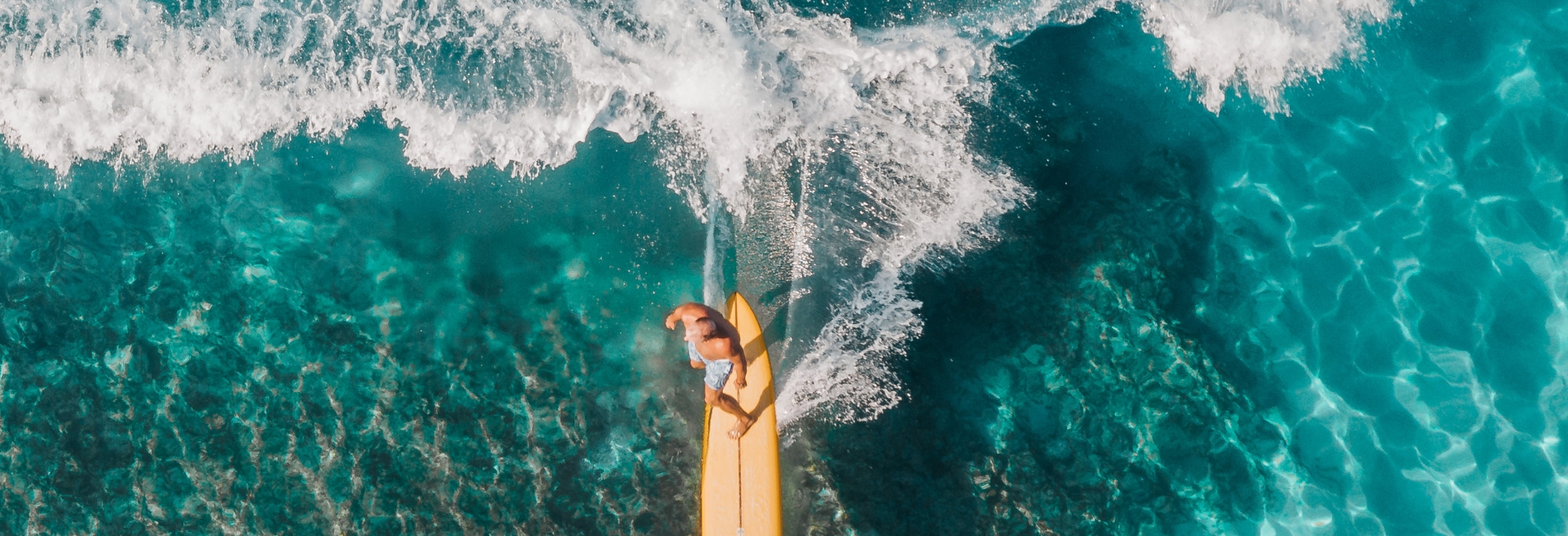 Honolulu Visitors Guide