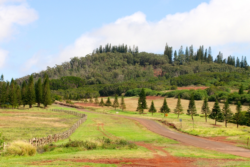 The Best Of Lanai: Lanai Visitors Guide.