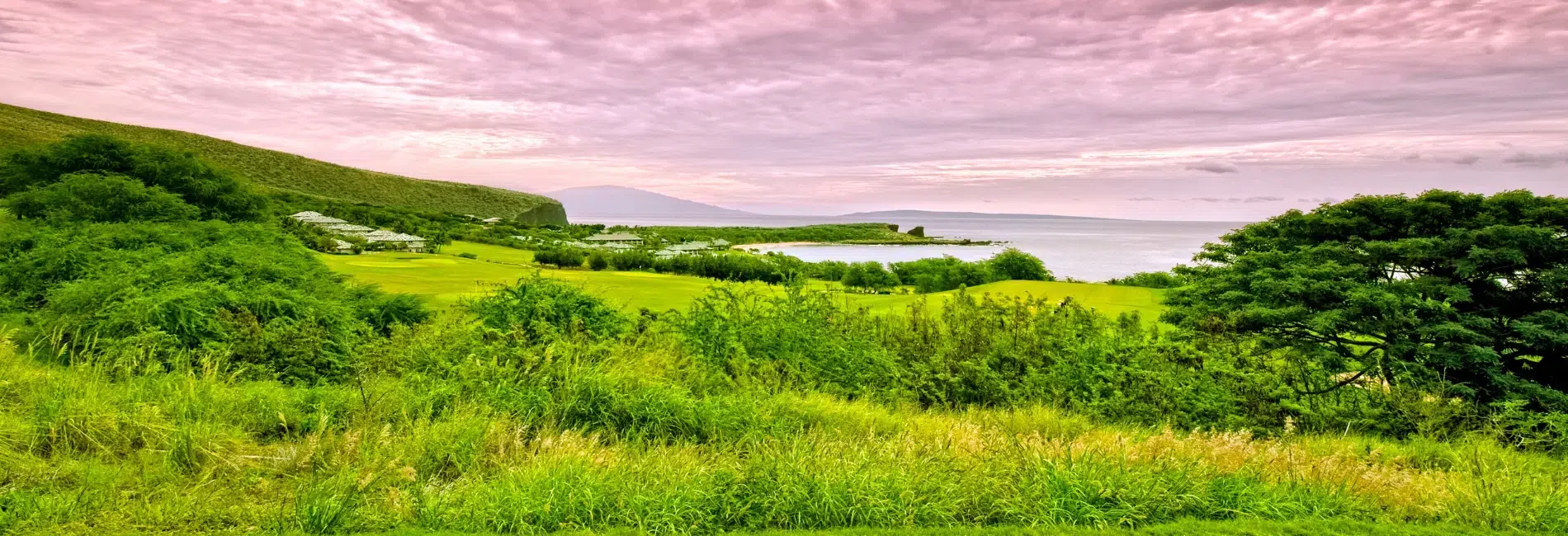 Scenic view of Lanai, Hawaii with vibrant green rolling hills, lush vegetation, coastal ocean view, and dramatic pink sunset sky