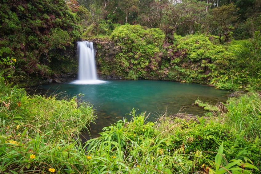 Road To Hana Guide - Puaa Kaa State Park