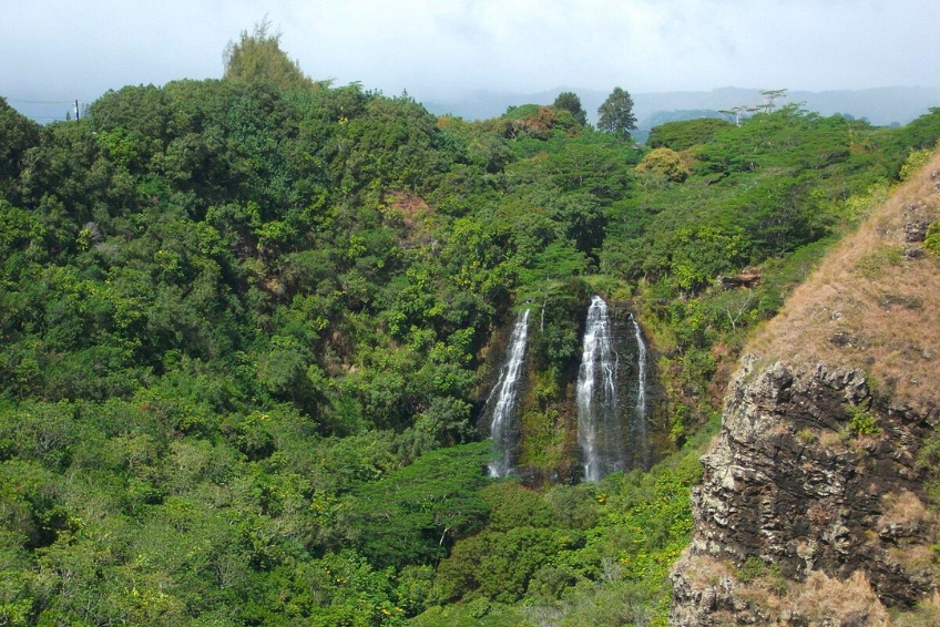 Oahu Waterfall Guide: The Best Waterfalls in Oahu