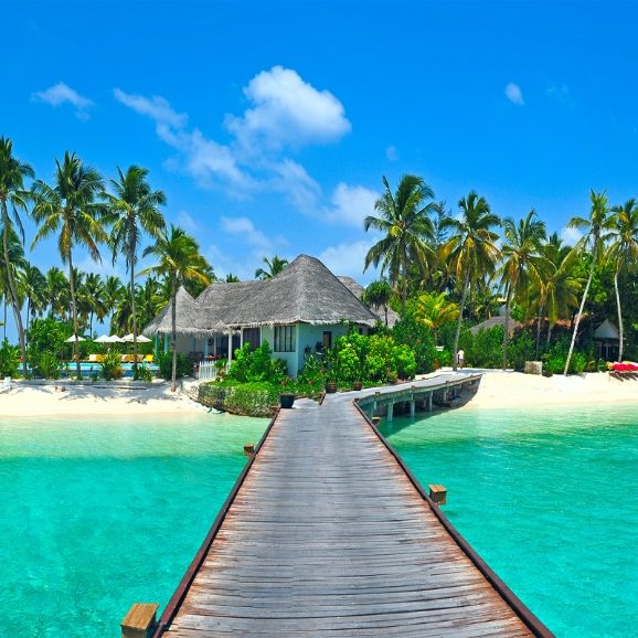 Island Life Hawaii About Us